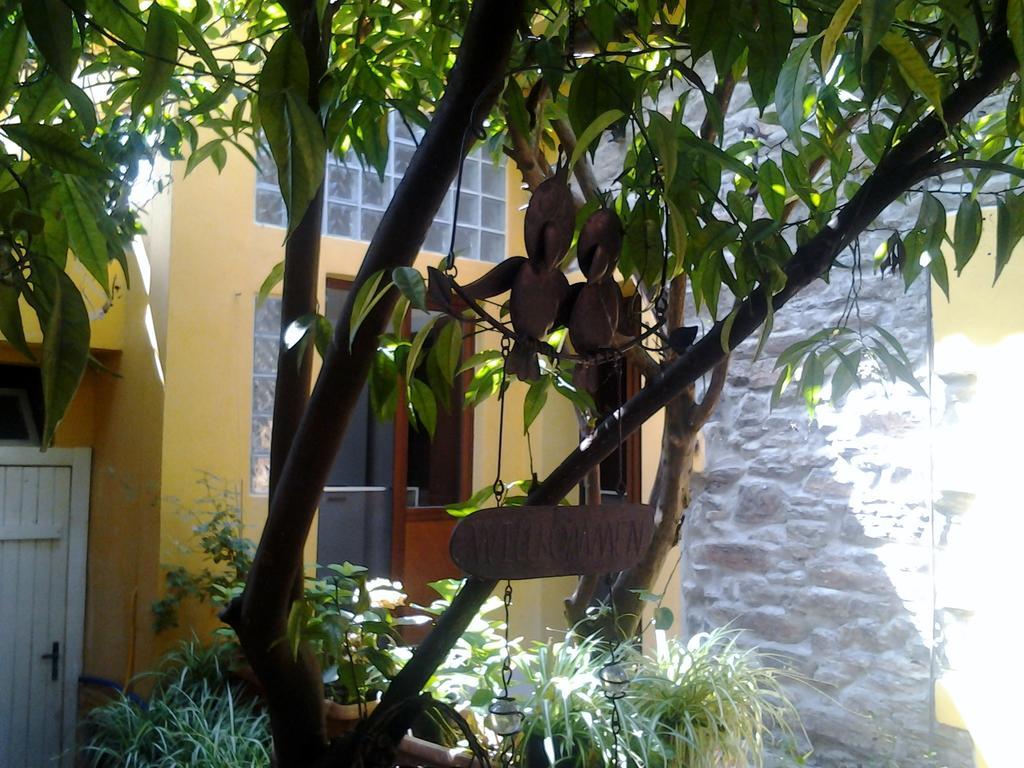 B&B Su Semucu Ballao Exterior photo